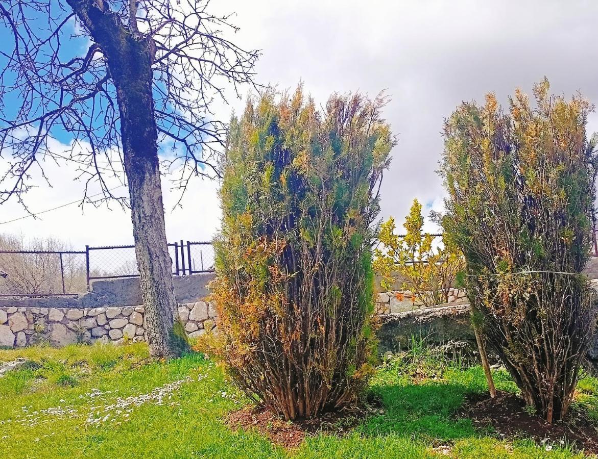 Holiday In The National Park Lovcen 采蒂涅 外观 照片