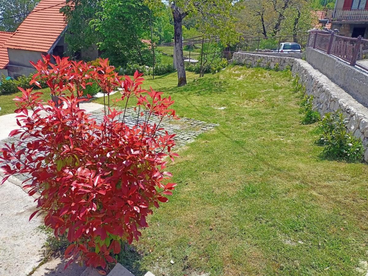 Holiday In The National Park Lovcen 采蒂涅 外观 照片